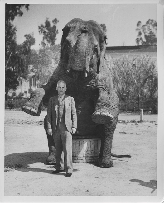 Coulson Glick with an elephant