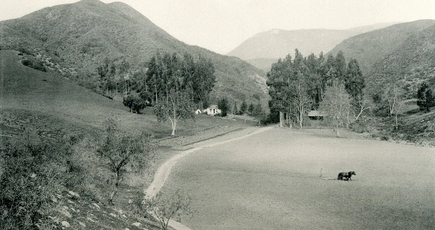 Authority on Los Angeles History | Wilshire Boulevard | Chester Place